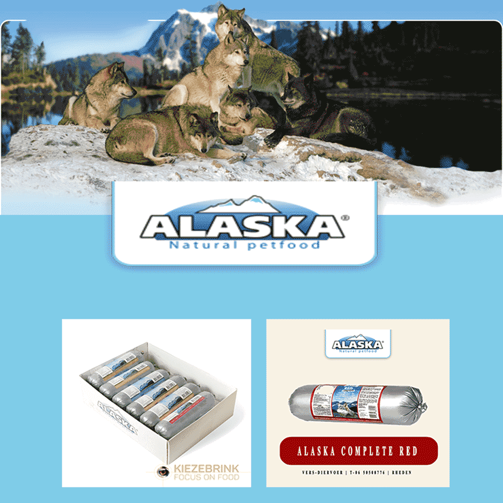 Alaska-logo-home