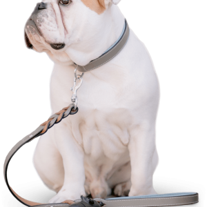 Dogstar Rendier trainers